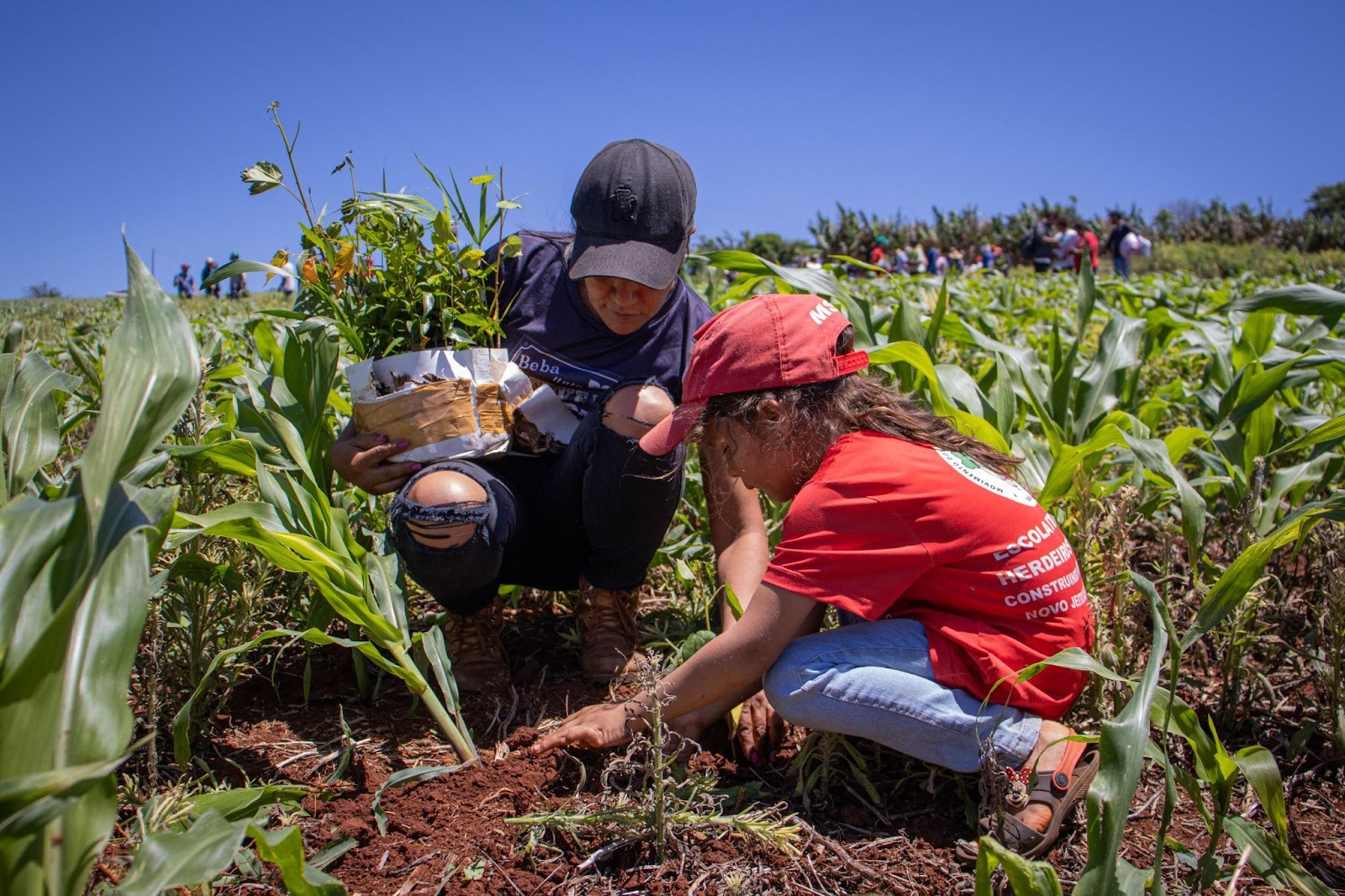 Famílias do MST PR realizam mutirão de reflorestamento com 5 mil mudas, em Rio Bonito do Iguaçu