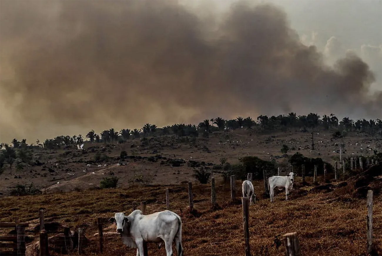 Na Agrizone da COP 30, os protagonistas serão os culpados pela crise ambiental