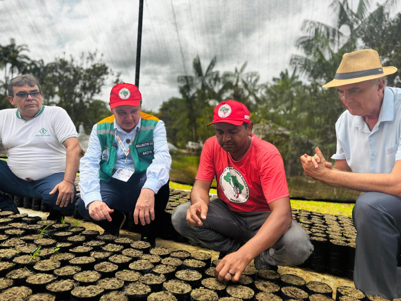 ‘Uma verdadeira aula’: Durante a COP30, ministro Wellington Dias visita floresta produtiva do MST no Pará
