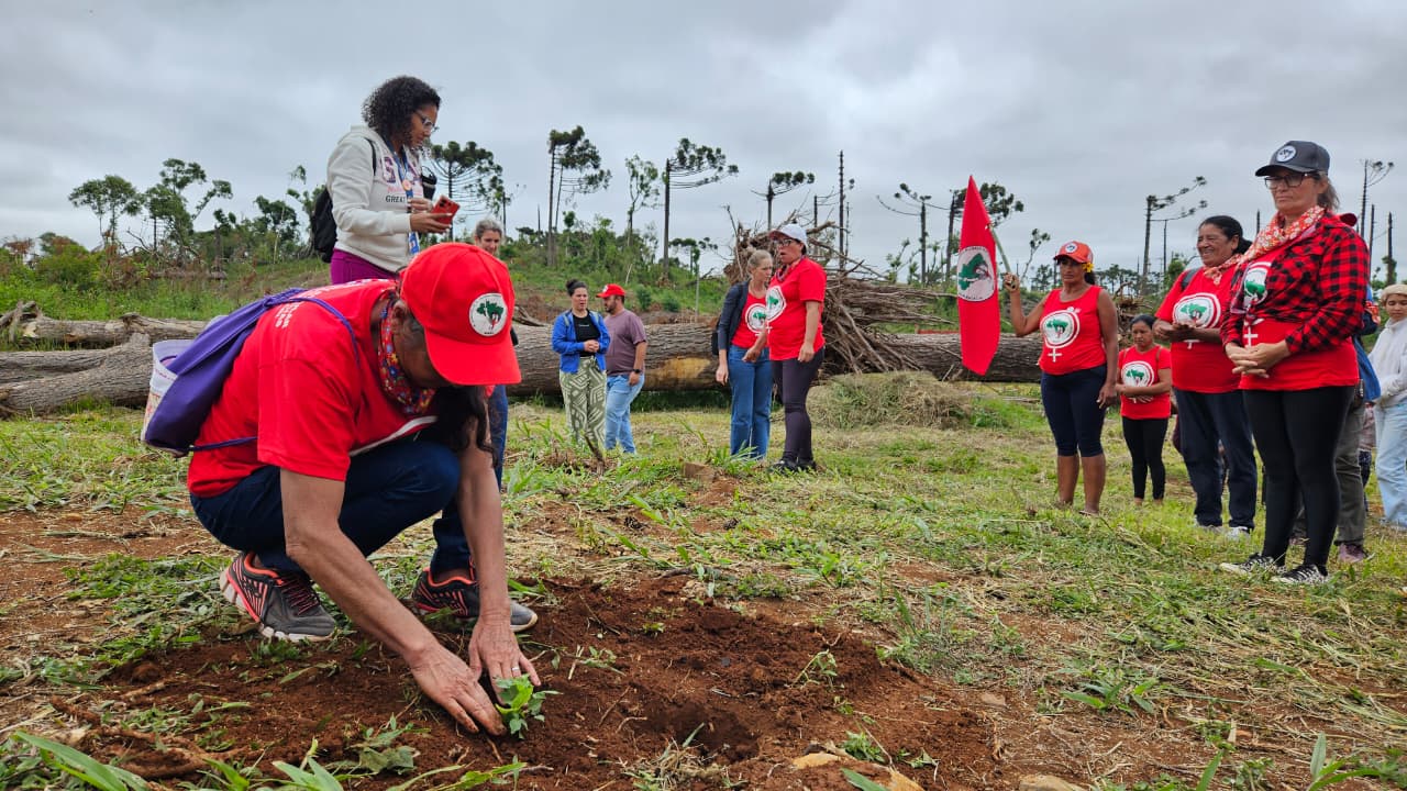 Mulheres do MST plantam 10 mil mudas de árvores durante Jornada de Lutas, no Paraná