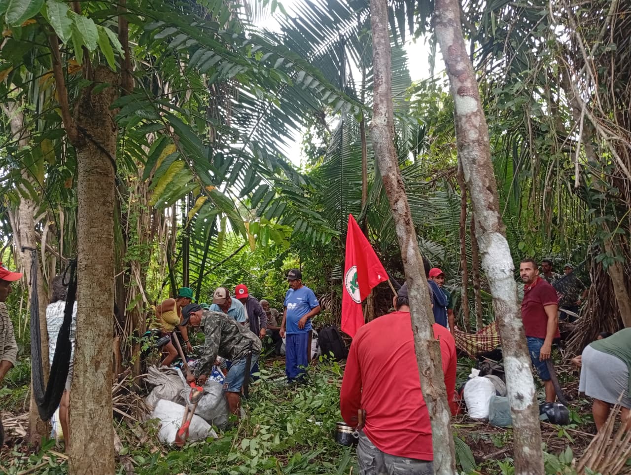 Especulação no Bico do Papagaio: famílias do MST ocupam área pública para exigir assentamento no TO