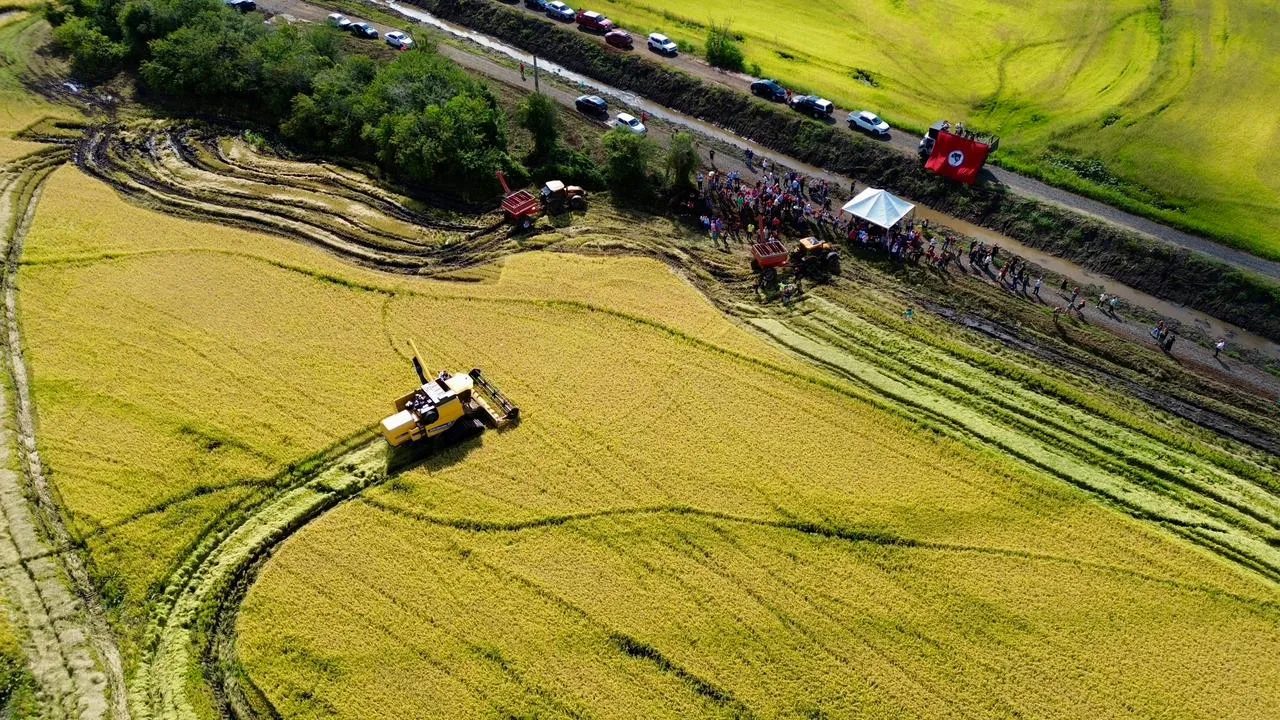 Justiça condena propagadores de fake news contra arroz agroecológico do MST