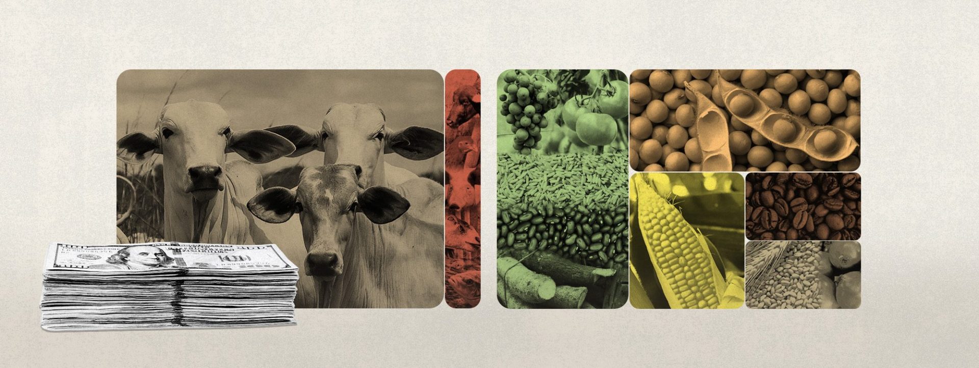 Em 30 anos, boi e soja consumiram 47% dos recursos para custeio de programa de agricultura familiar