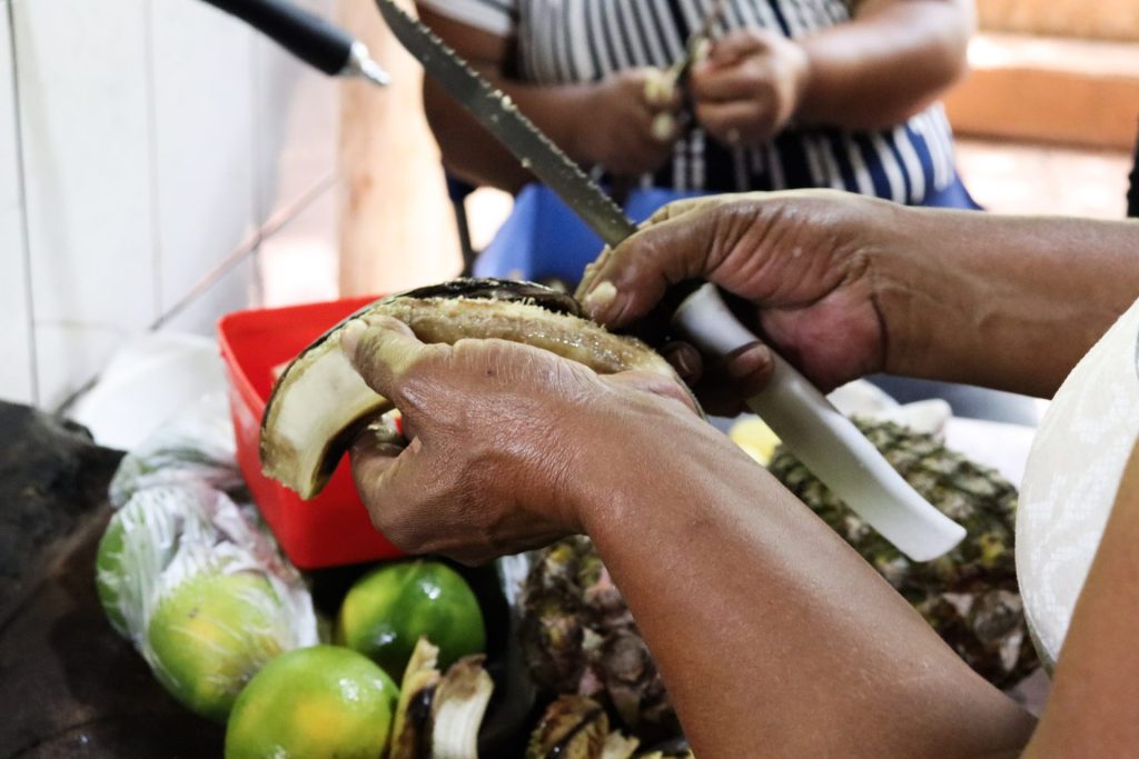 A força que sustenta a luta, organiza a vida e constrói a Reforma Agrária Popular