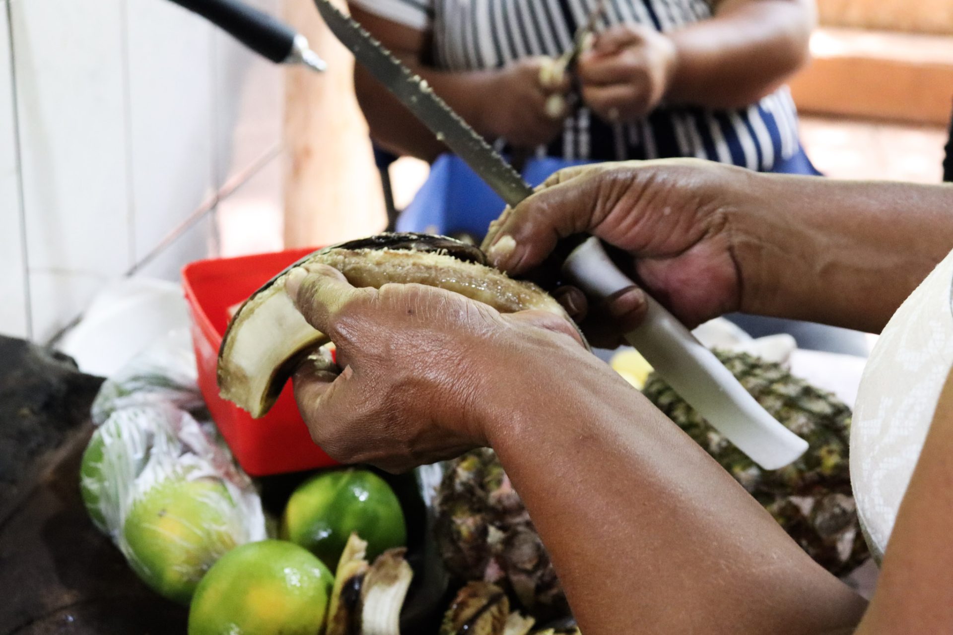 A força que sustenta a luta, organiza a vida e constrói a Reforma Agrária Popular