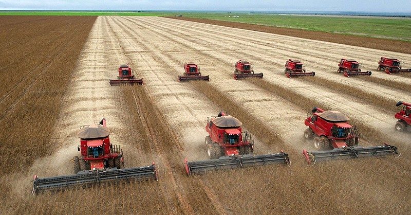 “Entre nós, a dor nacional”: Agronegócio, desertos verdes e a ameaça à natureza