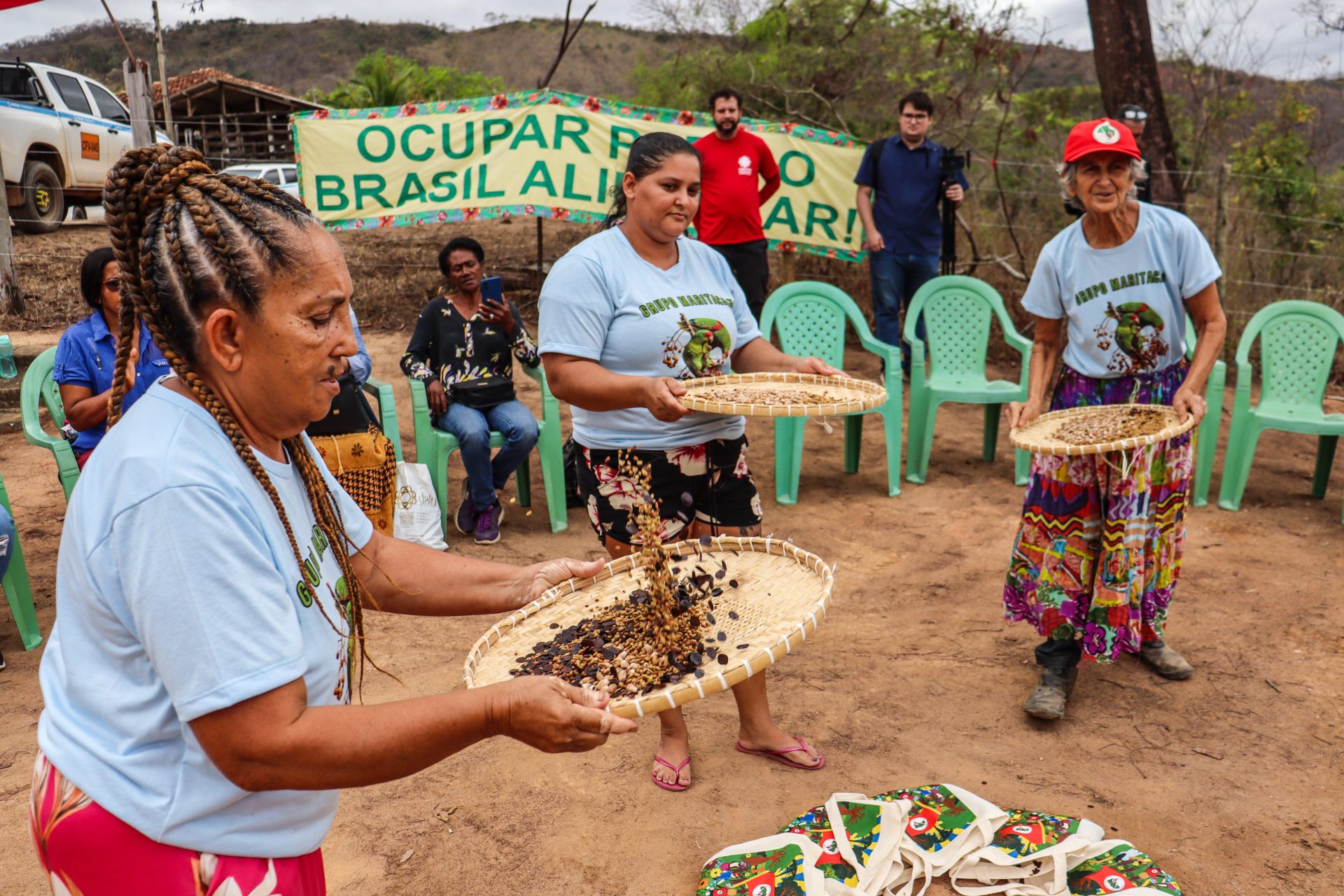 Coleta de sementes fortalecem agroecologia e conservação da biodiversidade na Bacia do Vale do Rio Doce
