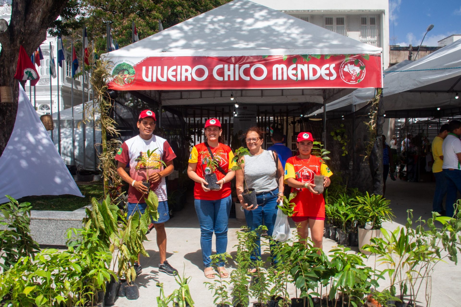 Com cerca de 2 mil mudas, viveiro Chico Mendes fará doação de plantas, neste sábado na Feira do MST em Maceió