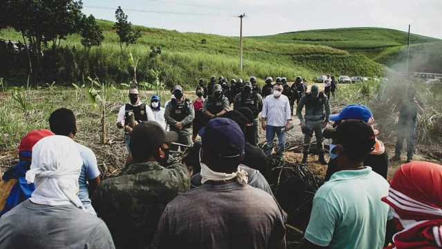 Despejo de 250 famílias em Amaraji, Pernambuco. Foto: MST