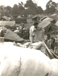 Acampamento do MST com 54 famílias (Bataiporã-MS, out. 1986) Crédito:
Cácia Cortez