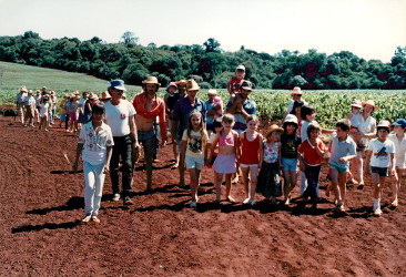 Assentamento "Fazenda Annoni" do MST (Rio Grande do
Sul, 1987) Crédito: Antônio Argemi