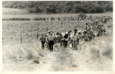 Assentamento "Fazenda Annoni" do MST (Rio Grande do
Sul, 1987) Crédito: Antônio Argemi