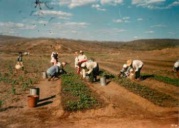 Ocupação da Fazenda Lisboa (São João do Piauí-PI,
data desconhecida) Crédito: Elias