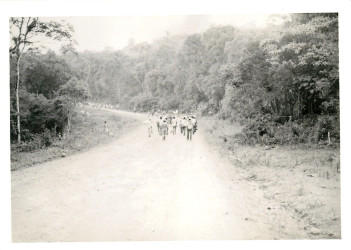 Ocupação Rincão do Bicho (Cantagalo-PR, nov. 1987)
Crédito: Gilmar Dolla Vechia