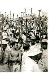 Ocupação Paranapoema (Paranapoema-PR, data desconhecida) Crédito:
Débora Lerrer