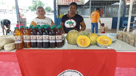 Em Palmas, TO, mulheres Sem Terra participaram da Feira das Mulheres do Campo, das Cidades, Águas e das Florestas. Foto: Setor de Comunicação TO.