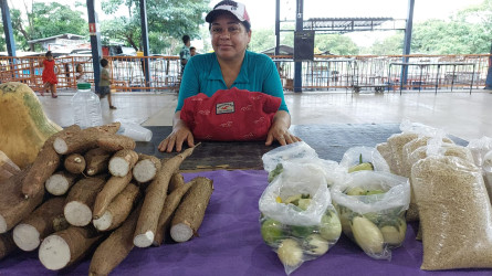 Em Palmas, TO, mulheres Sem Terra participaram da Feira das Mulheres do Campo, das Cidades, Águas e das Florestas. Foto: Setor de Comunicação TO.