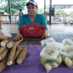 Em Palmas, TO, mulheres Sem Terra participaram da Feira das Mulheres do Campo, das Cidades, Águas e das Florestas. Foto: Setor de Comunicação TO.