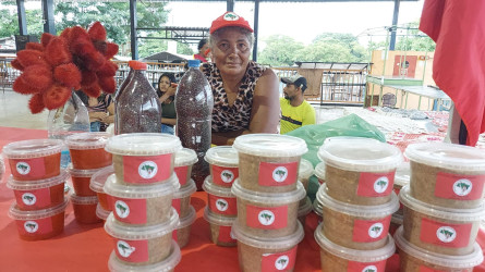 Em Palmas, TO, mulheres Sem Terra participaram da Feira das Mulheres do Campo, das Cidades, Águas e das Florestas. Foto: Setor de Comunicação TO.