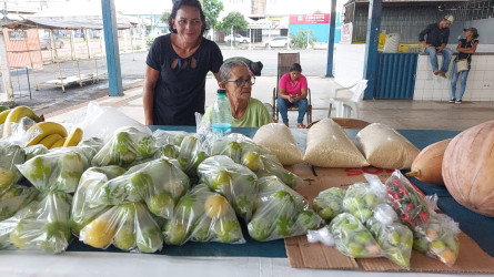 Em Palmas, TO, mulheres Sem Terra participaram da Feira das Mulheres do Campo, das Cidades, Águas e das Florestas. Foto: Setor de Comunicação TO.
