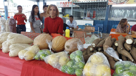 Em Palmas, TO, mulheres Sem Terra participaram da Feira das Mulheres do Campo, das Cidades, Águas e das Florestas. Foto: Setor de Comunicação TO.