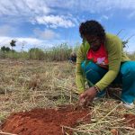 Mulheres plantaram 200 mudas no Bosque da Resistência, localizado no Acampamento 8 de Março, Planaltina (DF).
Foto: Camila Araújo.