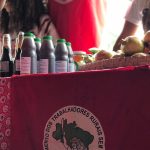 I Feira Feminista da Soberania Alimentar e Economia Solidária, no Piauí. Foto: Comunicação MST