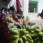 I Feira Feminista da Soberania Alimentar e Economia Solidária, no Piauí. Foto: Comunicação MST