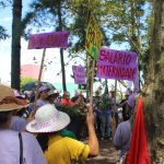 Aromas de Março em São Miguel do Oeste (SC). Foto: Janaina dos Santos.