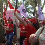 Aromas de Março em São Miguel do Oeste (SC). Foto: Janaina dos Santos.