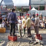 IV Feira Nacional da Reforma Agrária, Foto: Juliana Adriano