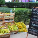 IV Feira Nacional da Reforma Agrária, Foto: Daniel Violal