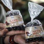 IV Feira Nacional Da Reforma Agrária, Foto: Mykesio Max