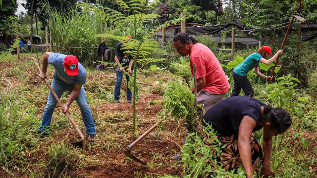 Plantio de árvores marca a celebração de 14º aniversário do assentamento Dênis Gonçalves,Minas Gerais, Foto: Dowglas Silva