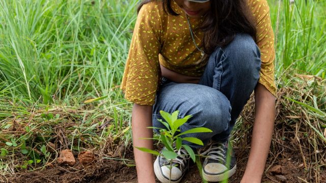 Plantio de árvores marca a celebração de 14º aniversário do assentamento Dênis Gonçalves,Minas Gerais, Foto: Dowglas Silva
