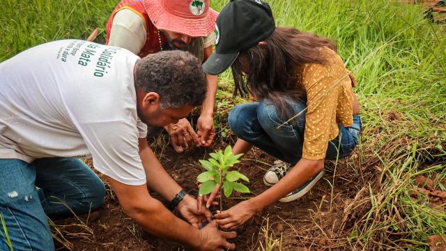Plantio de árvores marca a celebração de 14º aniversário do assentamento Dênis Gonçalves,Minas Gerais, Foto: Dowglas Silva