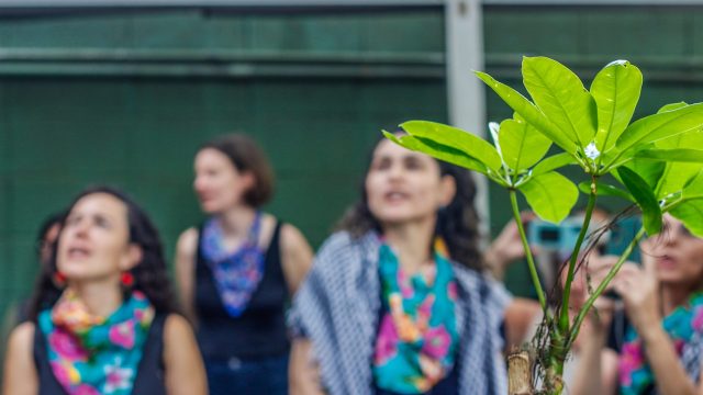 Foto: Priscila Ramos