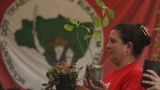Foto: Leonardo Melgarejo
