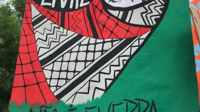 Foto: Vytoria Pachione