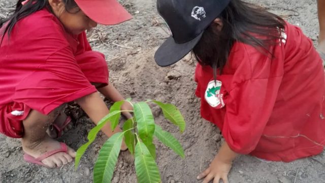 Foto: MST RR, Assentamento "Comunidade dos Sonhos" no município de Mucajaí.