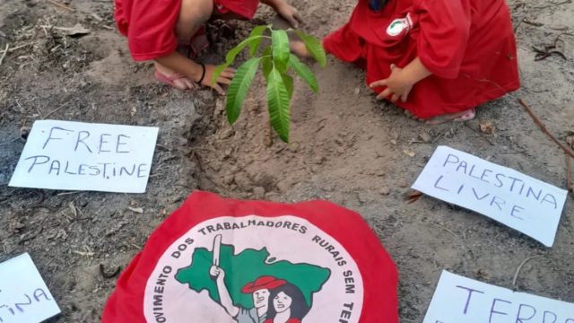 Foto: MST RR, Assentamento "Comunidade dos Sonhos" no município de Mucajaí.