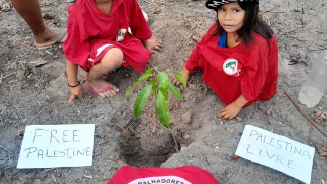 Foto: MST RR, Assentamento "Comunidade dos Sonhos" no município de Mucajaí.