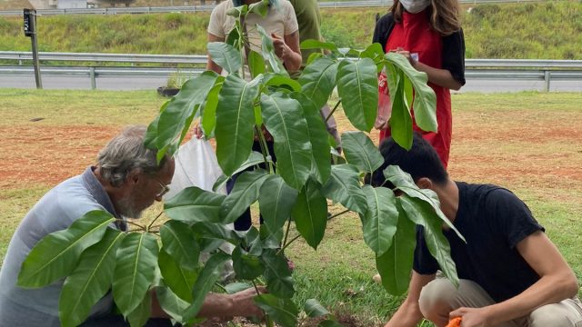 Foto: Coletivo de Comunicação da Cozinha Solidária do São Marcos