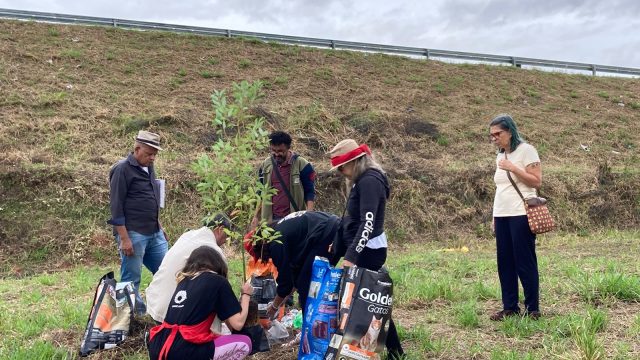 Foto: Coletivo de Comunicação da Cozinha Solidária do São Marcos