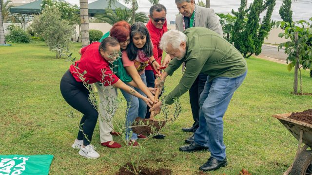 Foto: André Gouveia,
MST DF