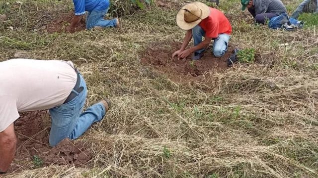 Fotos: MST PR, Guarapuava.