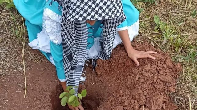 Fotos: MST PR, Guarapuava.