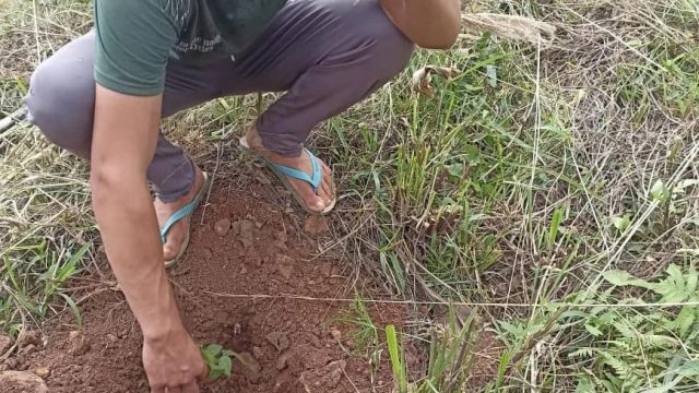 Fotos: MST PR, Guarapuava.