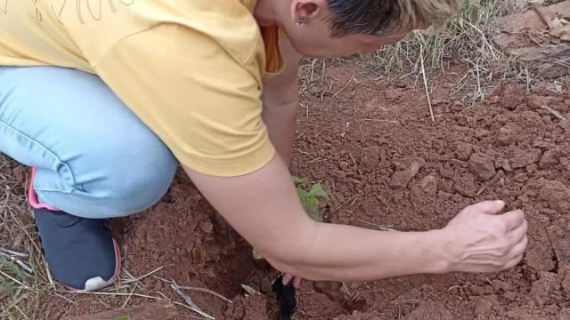 Fotos: MST PR, Guarapuava.