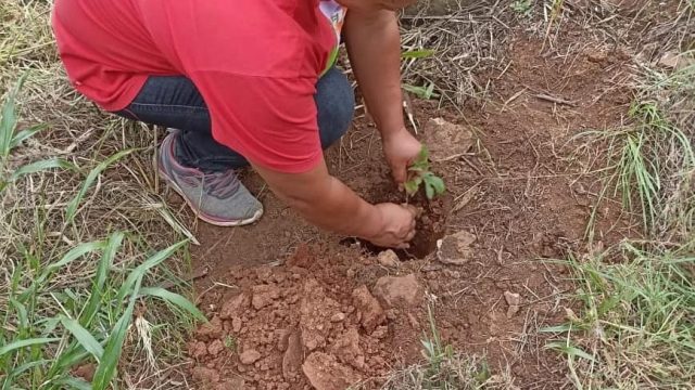 Fotos: MST PR, Guarapuava.